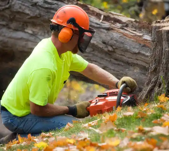 tree services Butner